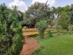 Plot / Land For Sale 4.8 Lac In Royal Residency, Kothur 121.0 Sq. Yards