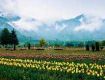 Seasonal trips with best Monsoon Tour packageskerala