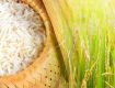 Top 10 Rice Exporters In India