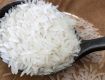 Agro -Products Exporters in India