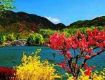 Best offers on Holiday Tour Packages