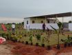 Agricultural Land/Plot For Sale 3.9 Lakhs 121.0 Sq. Yards In Aler