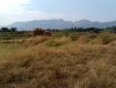 Agriculture land 34 Goonthas sale near shelu Railway station near Neral ,Karjat