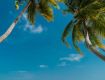 The Latest and Best Deals on Hotels & Resort Booking.