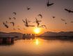 Best offers on Holiday Tour Packages in Udaipur