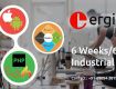 PHP Training in Rajpura