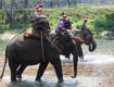 Wildlife tourism
