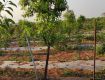 Land For Sale In Open Plots For Sale Near By Batasingarm, Uppal Industrial Area 121.0 Sq. Yards 20.0 Lakh