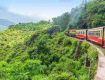 Grab a Best Deal on a Domestic Tour Package All Over India and encloses everything the traveler needs with Best Offers.