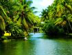 Great holiday kerala packages  complete with sightseeing tours