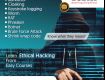 Learn to hack with online Ethical Hacking Course