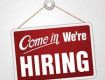 Back office Executive