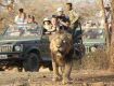 Wildlife Tour packages