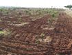 Agricultural Land/Plot For Sale 3580.0 Sq. Yards In Balanagar 53.8 Lacs