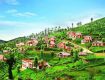 Monsoon Special Offers on ooty Tour Packages.