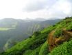 Monsoon spacial deals on family holiday tour packages in lonavala.