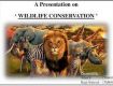 At Wildlife Tour packages