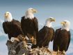 Fresh yourself by Nature Tour packages