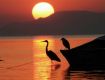 Wildlife Tour packages