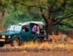 Wildlife Tour packages