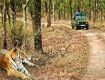 Wildlife Tour packages