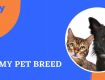 Know about pet breed