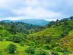 Discount offer for hill station tour package