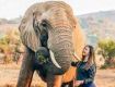Wildlife Tour packages