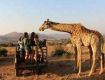 Wildlife Tour packages