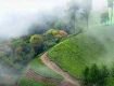 Best Monsoon Tour packages