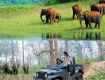 Enjoy with your family and friends  at Wildlife Tour packages