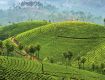 Best kerala Holiday Tour.