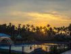 Premium resorts in Wayanad
