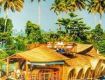 Get An Amazing Offer On Cruise Holding Package kerla