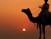 Offer On Group Trip At RAJSHTHAN