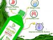 Immunity Booster Aloe Vera Juice Drink
