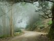 Get Exclusive offers on Holiday Tour Packages