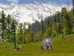 Discover the exclusive  Latest and Best Deals on Hotels & Resort Booking in india right now.....