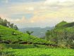 Get amazing discount and deals on Assam  group adventure trip
