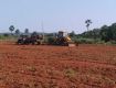 At Atchuthapurama Residential open plots for sale only per sqy 8900