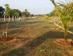 Farm land for sale