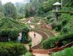 Exclusive Offers On Ooty Tour Package.