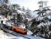 visiting shimla is the best tour for you
