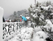Couples holiday tour package for shimla
