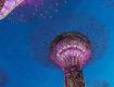 Get out the latest honeymoon Singapore holiday package