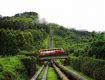 Monsoon Special Offer On Munnar, Kerala Tour Packages.