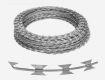 Concertina Coil At Best Price