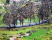Spend your evening in the mountains and gardens of ooty with your friends or your loved ones