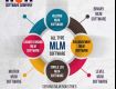 MLM Software Script