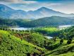 Monsoon Special Offers on kerala Tour Packages.